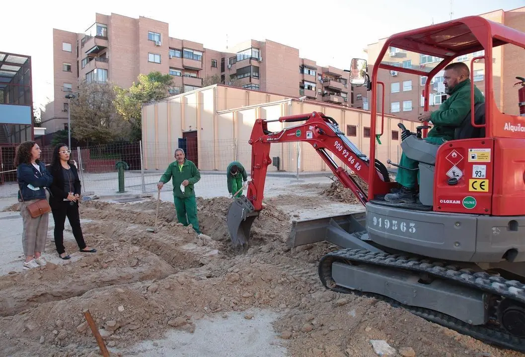 Colocaci&oacute;n nuevo arborado colegio Antonio Machado de Alcobendas