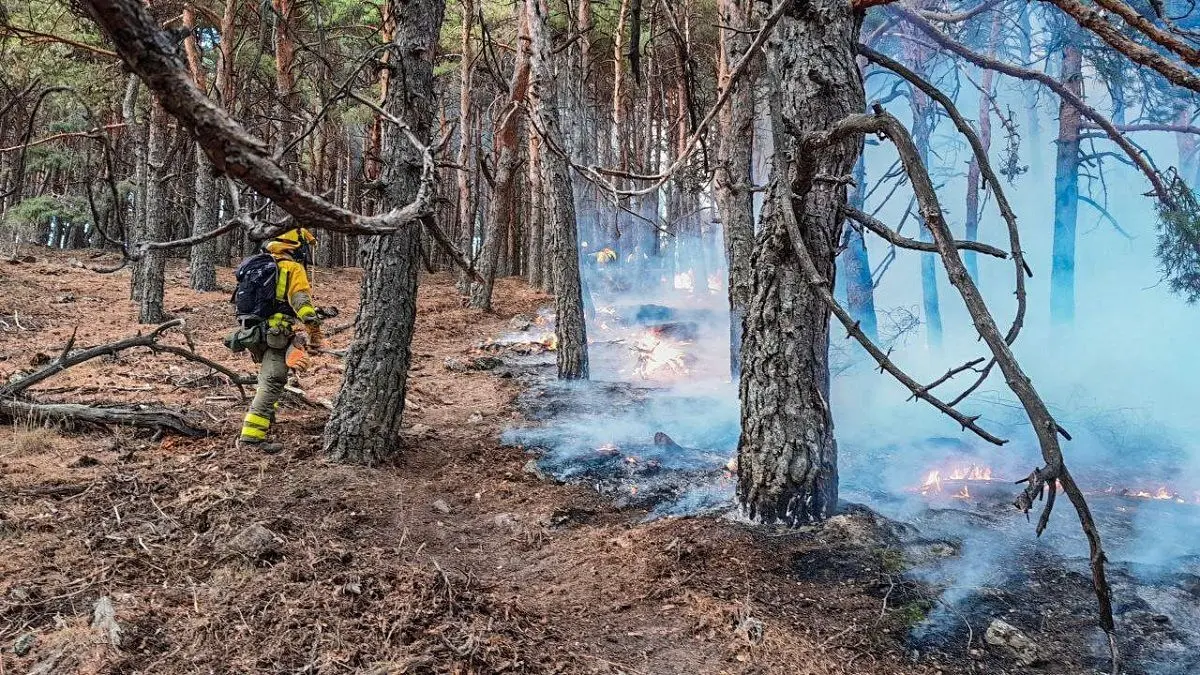 Incendio Forestal en Miraflores de la Sierra 2023