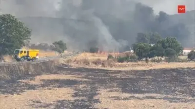 Incendio en el campo con humareda en el cielo