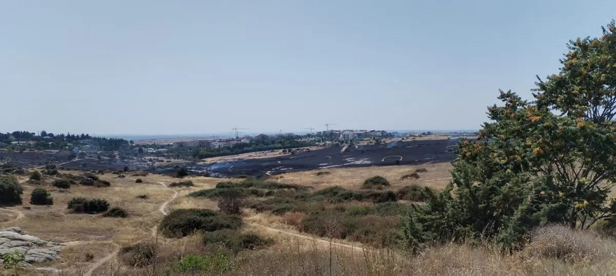 Fuego Colmenar Viejo
