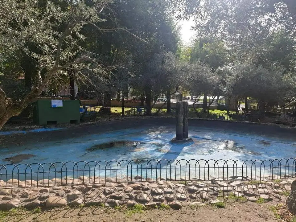 Parque Olivos