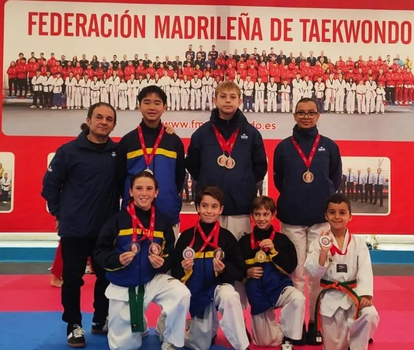taekwondo colmenar