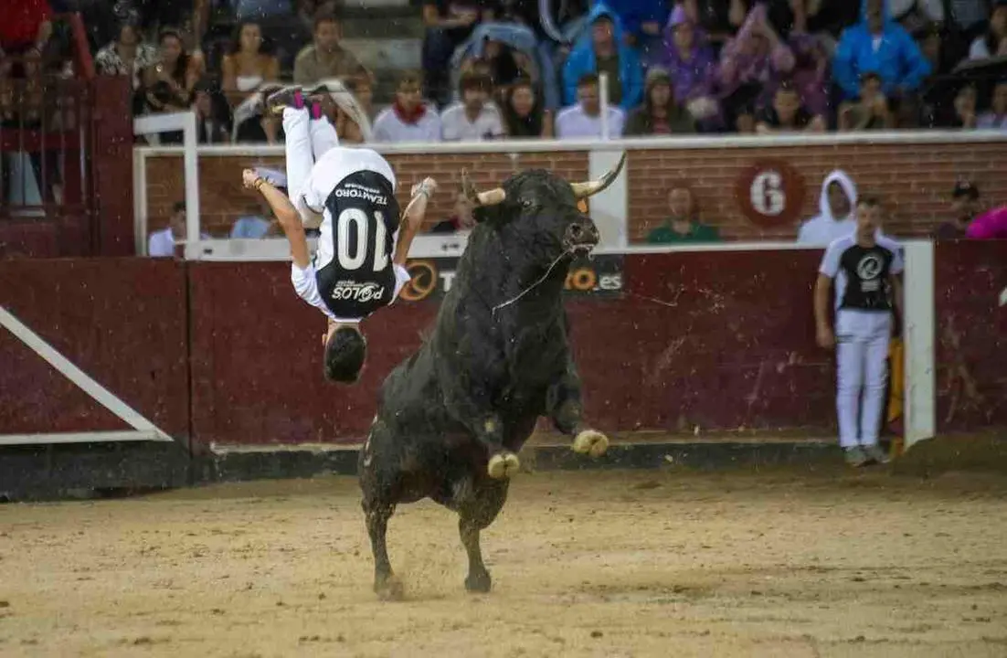 CONCURSO DE RECORTES AGOSTO (1)