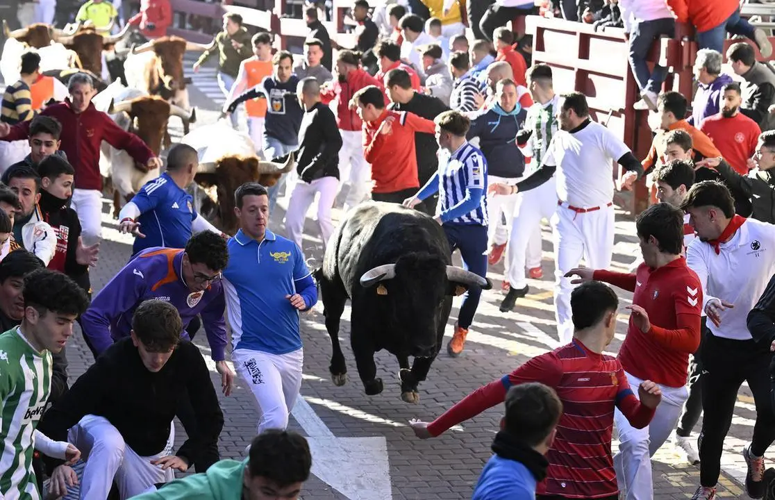encierro_19_enero (1)