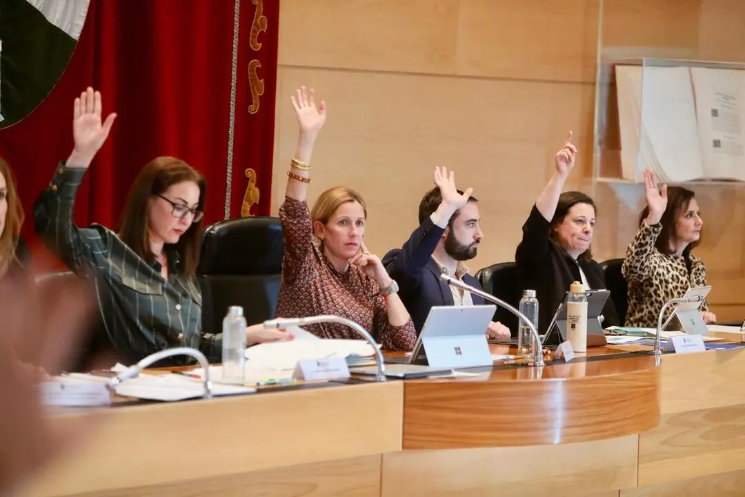 PLENO ORDINARIO-1 (1)