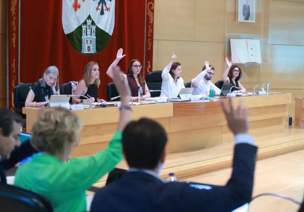 PLENO ORDINARIO.1 (1)