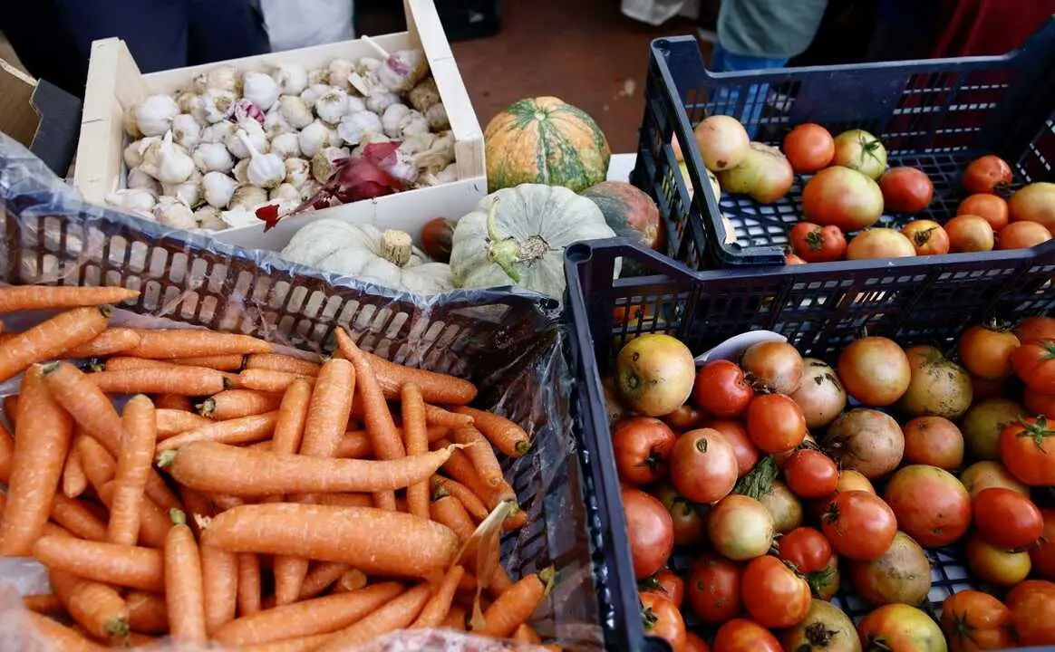 En el Mercado de Productores se pueden comprar productos alimentarios de la Comunidad de Madrid
