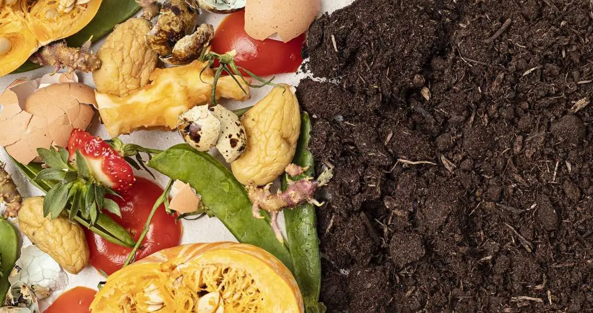 Los biorresiduos se pueden reconvertir en compost a trav&eacute;s del compostaje