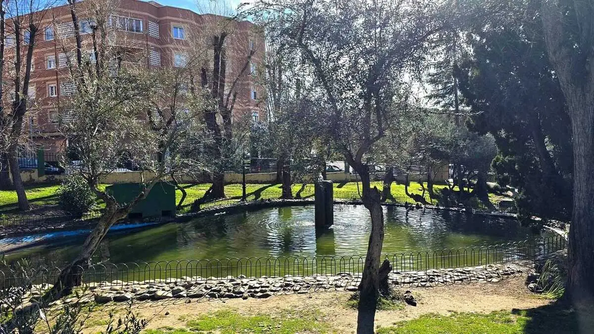 parque de los olivos algete (1)