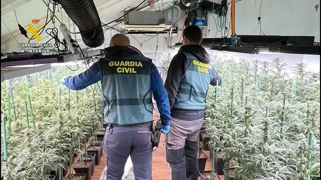 guardia civil marihuana manzanares