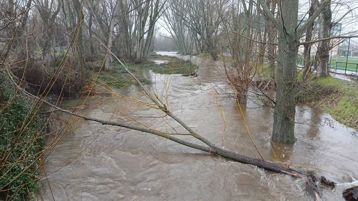 El r&iacute;o Guadalix a su paso por Guadalix de la Sierra con un caudal mucho mayor del habitual