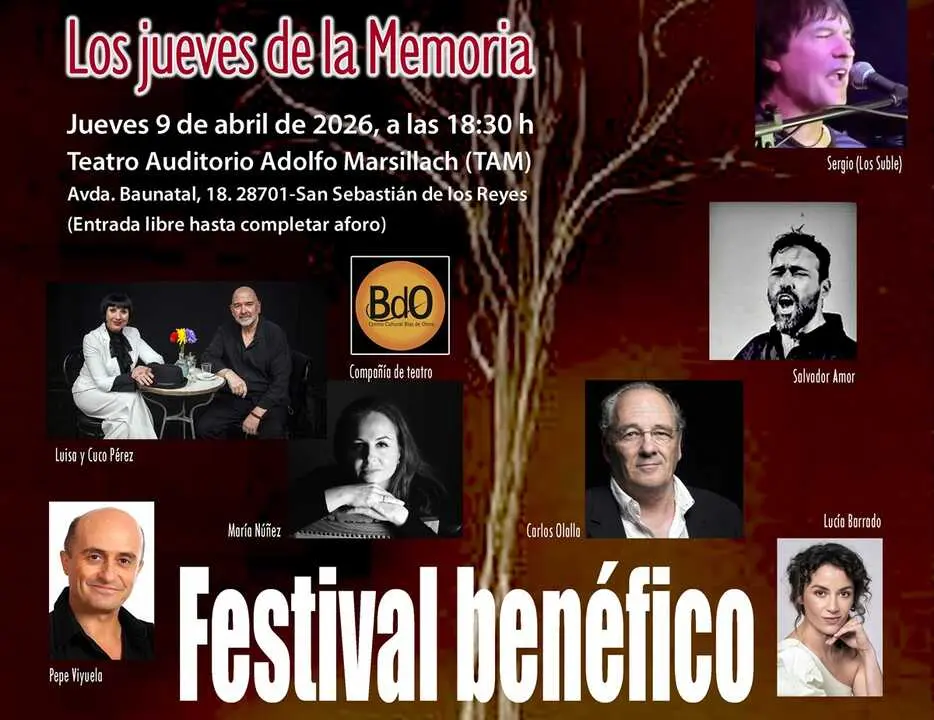 Cartel del festival solidario organizado por la Comisi&oacute;n Verdad sanse