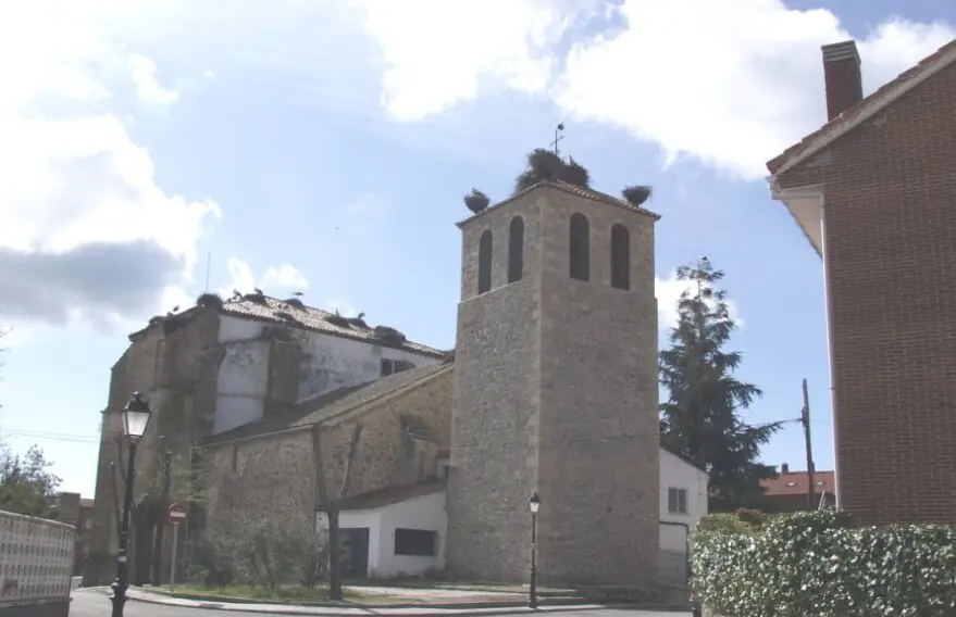 image (13)
