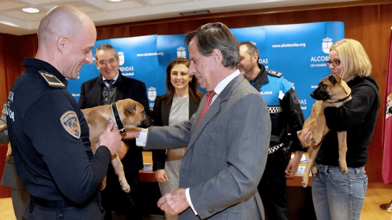 El alcalde de Alcobendas entrega uno de los tres cachorros de perro polic&iacute;a a los agentes de Granada