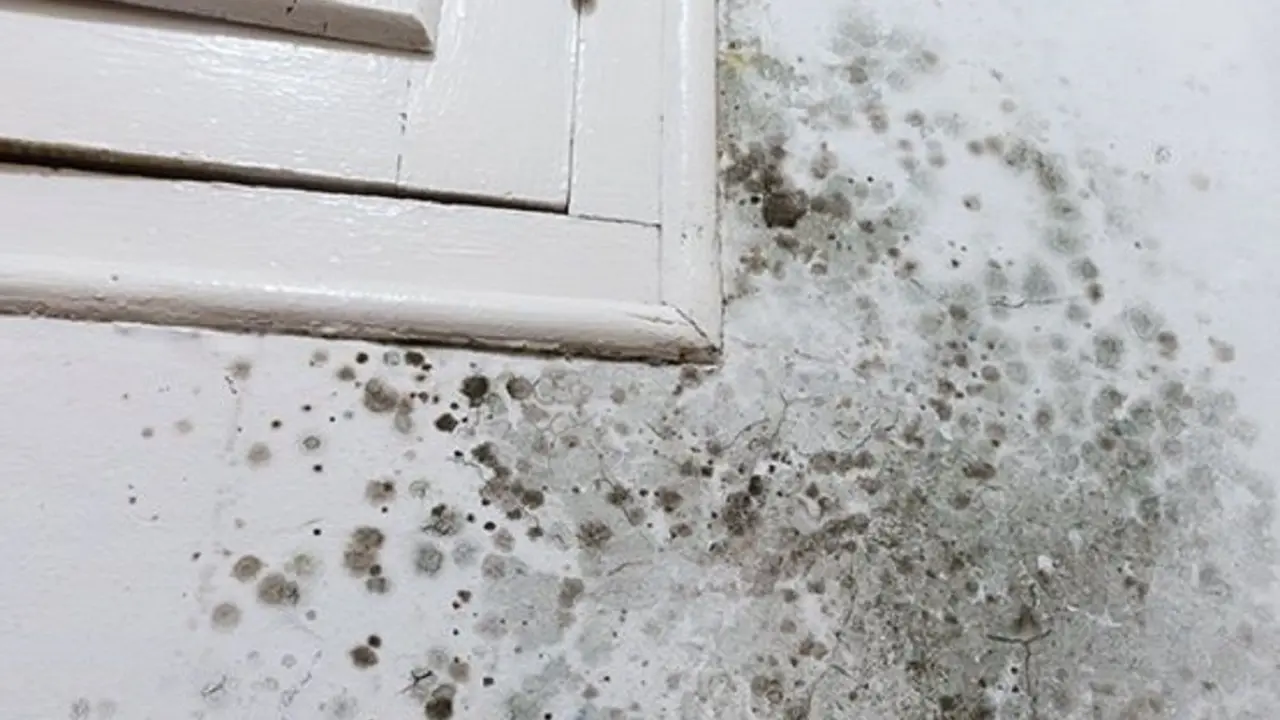 Humedad por condensaci&oacute;n en ventana de una vivienda