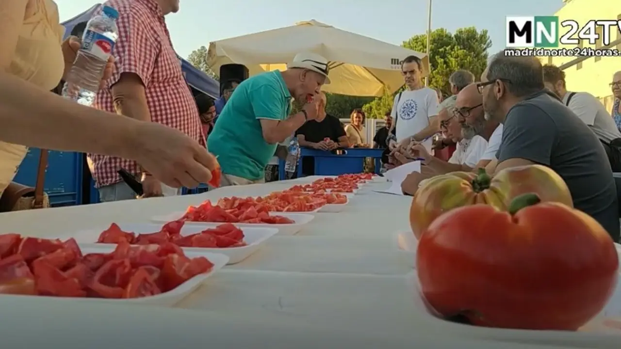 Prueba de tomates en el Concurso de Hortelanos de Colmenar Viejo
