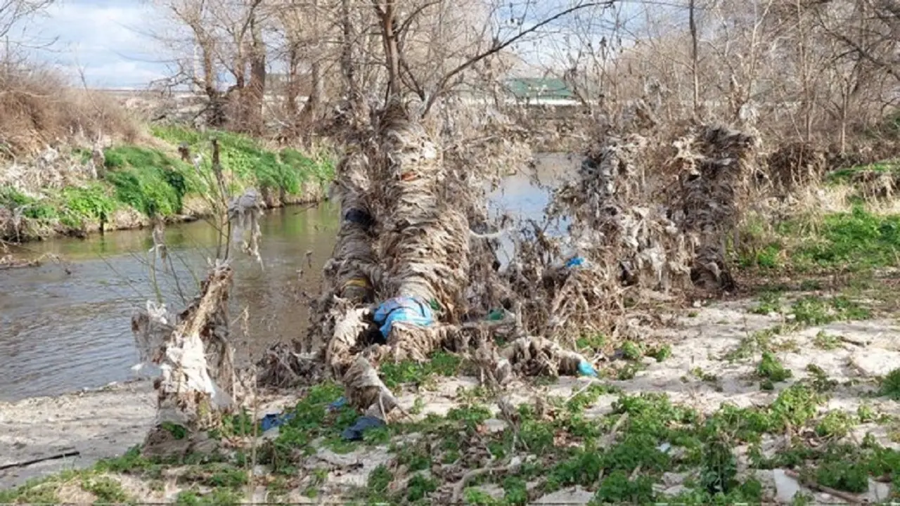 Basura en la ribera de r&iacute;os