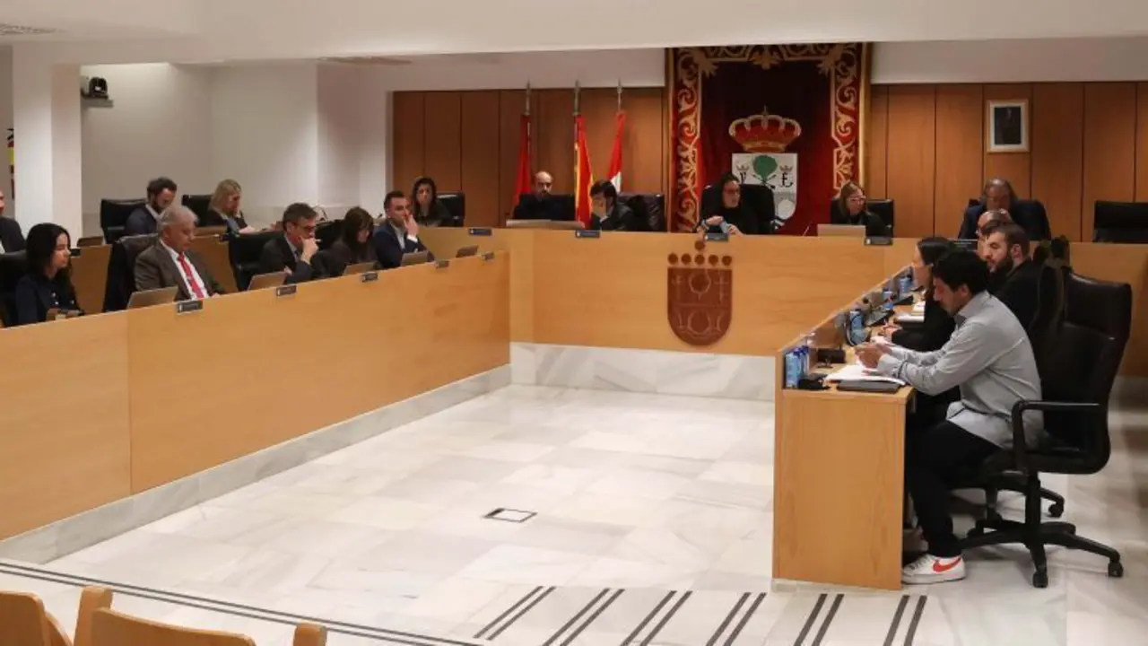 Pleno San Sebasti&aacute;n de los Reyes