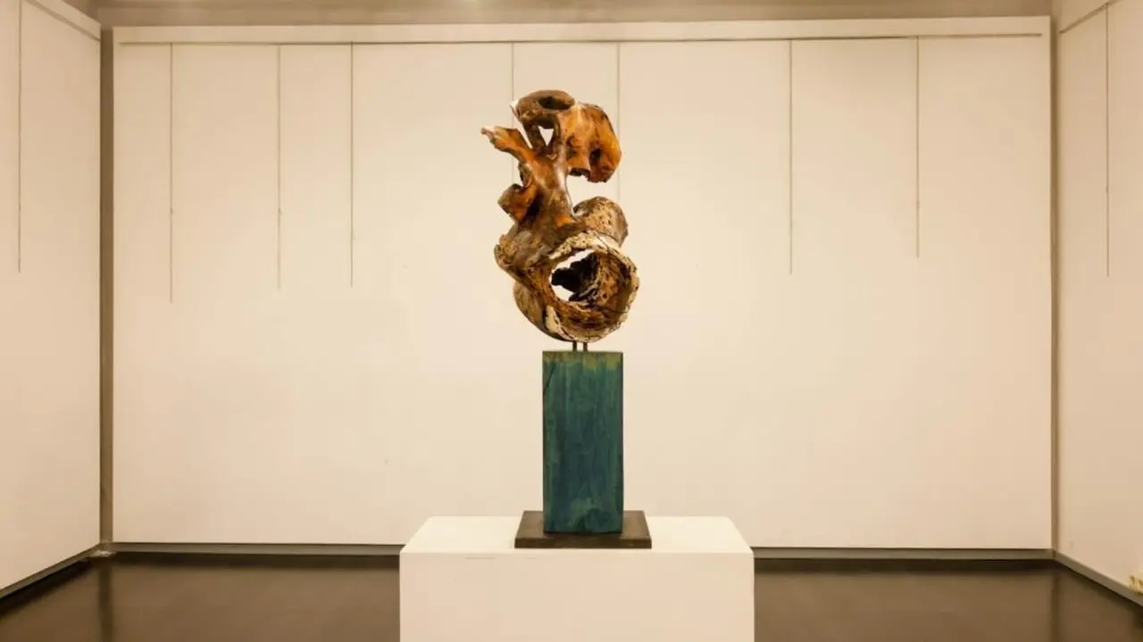 Exposici&oacute;n Colmenar Viejo