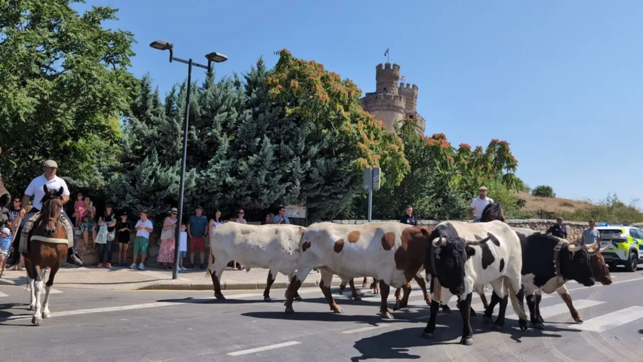 Toros