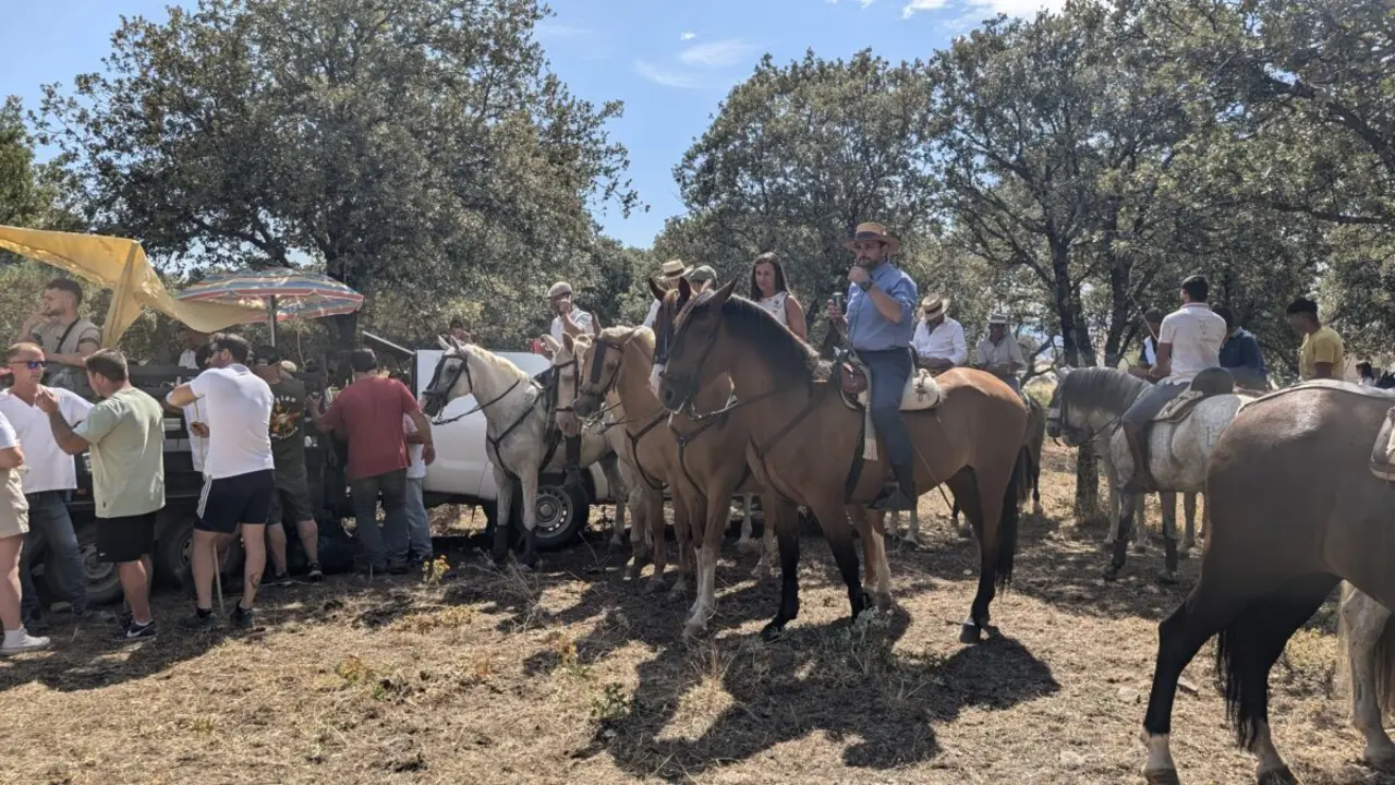 Caballos y jinetes