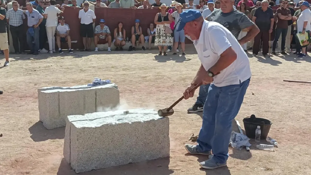 Un momento de la exhibici&oacute;n de canteros en Colmenar Viejo