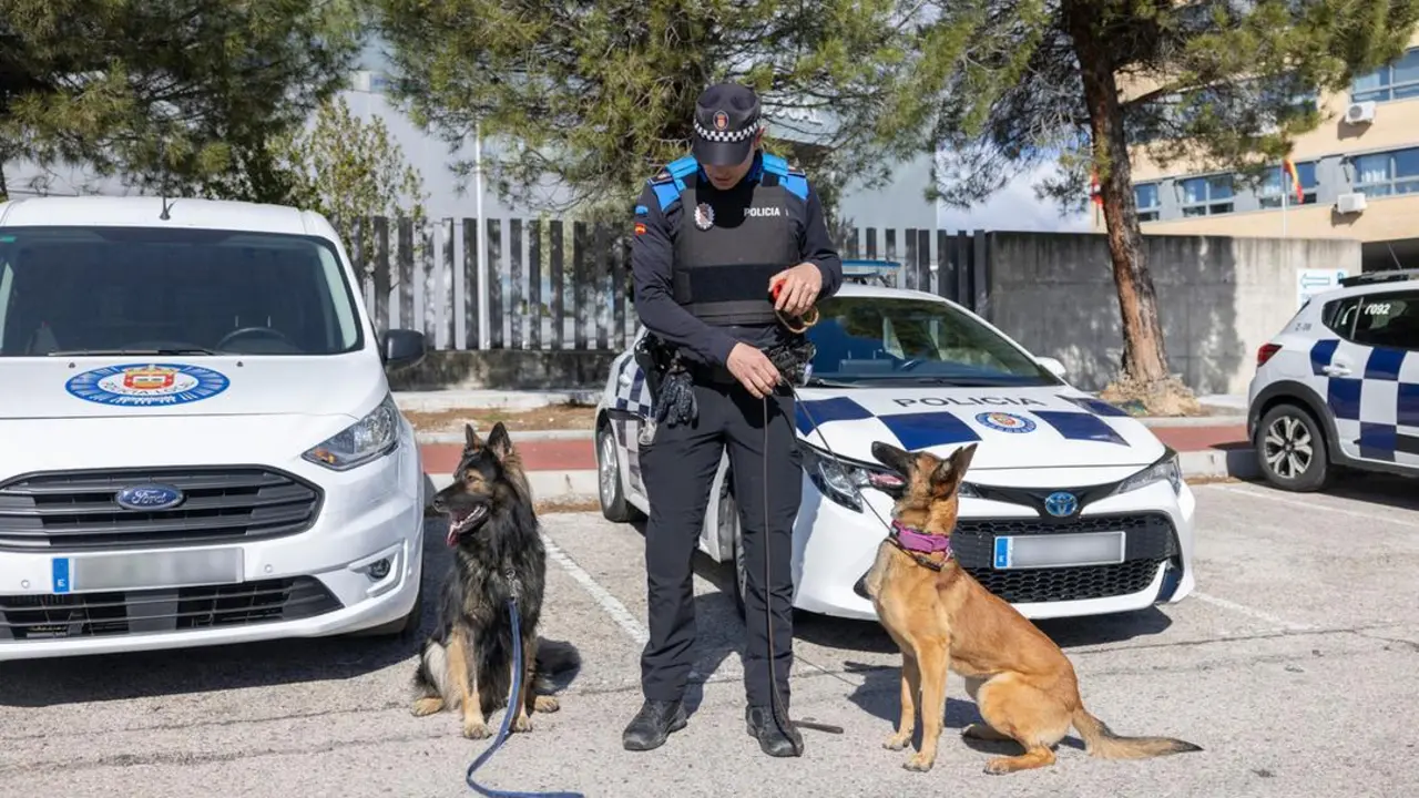 oposicion policia local