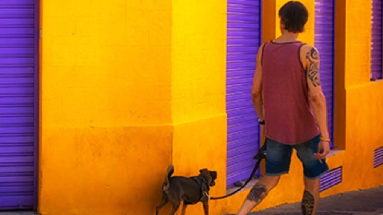 Una de las fotograf&iacute;as de Pedro Velasco, del &uacute;ltimo concurso de fotograf&iacute;a de Alcobendas