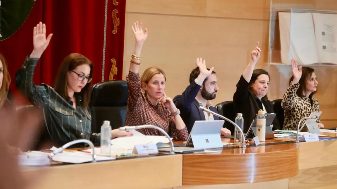 PLENO ORDINARIO-1 (1)