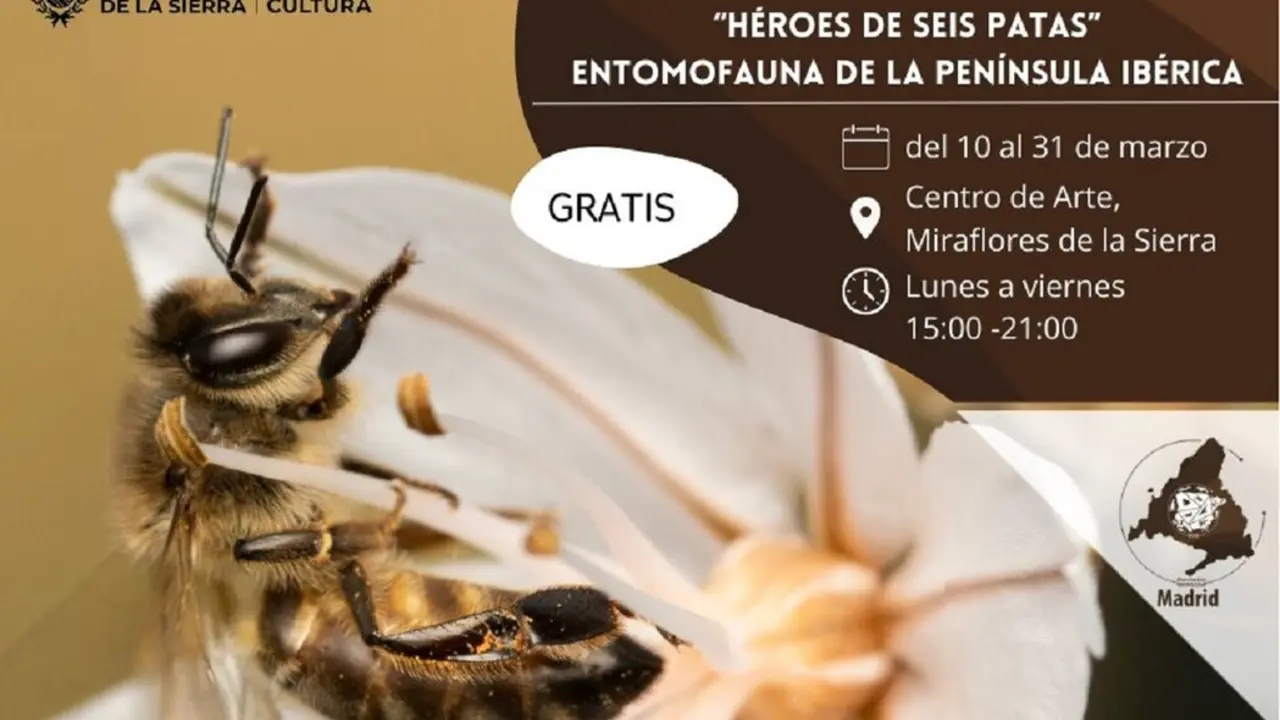 Cartel de la exposici&oacute;n de la asociaci&oacute;n Iberozoa en Miraflores de la Sierra