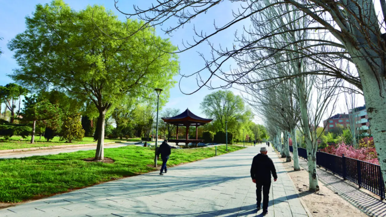 alcobendas (1)