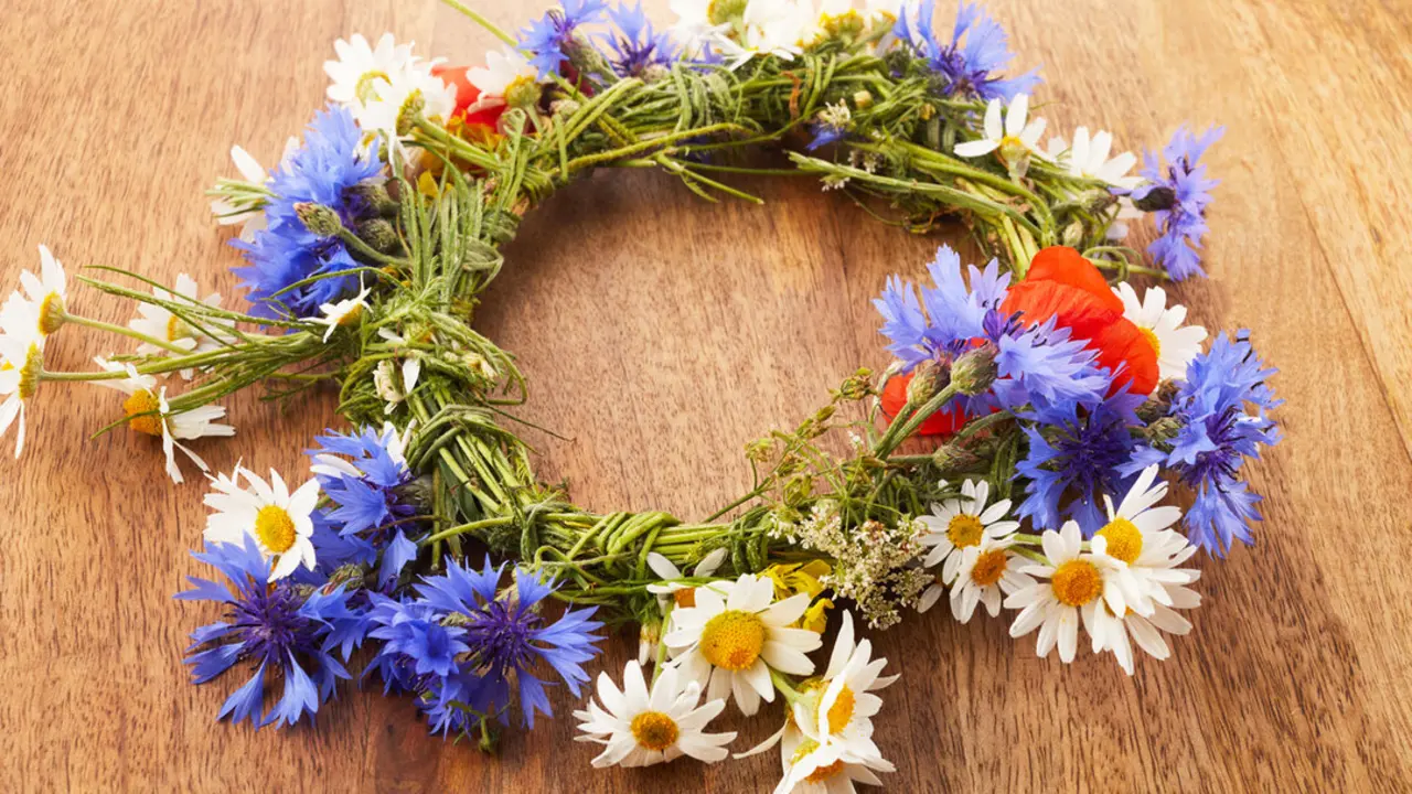 Wreath of chamomile flower on vintage background. Midsummer holiday background.