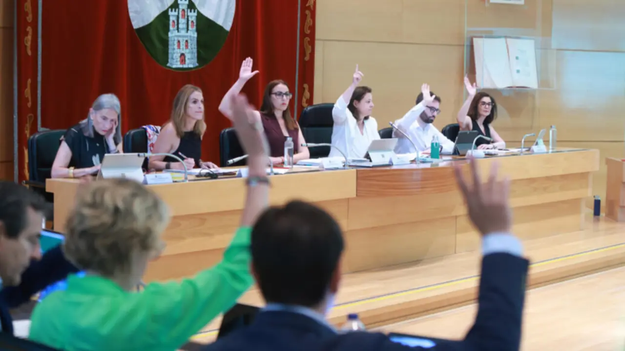 PLENO ORDINARIO.1 (1)