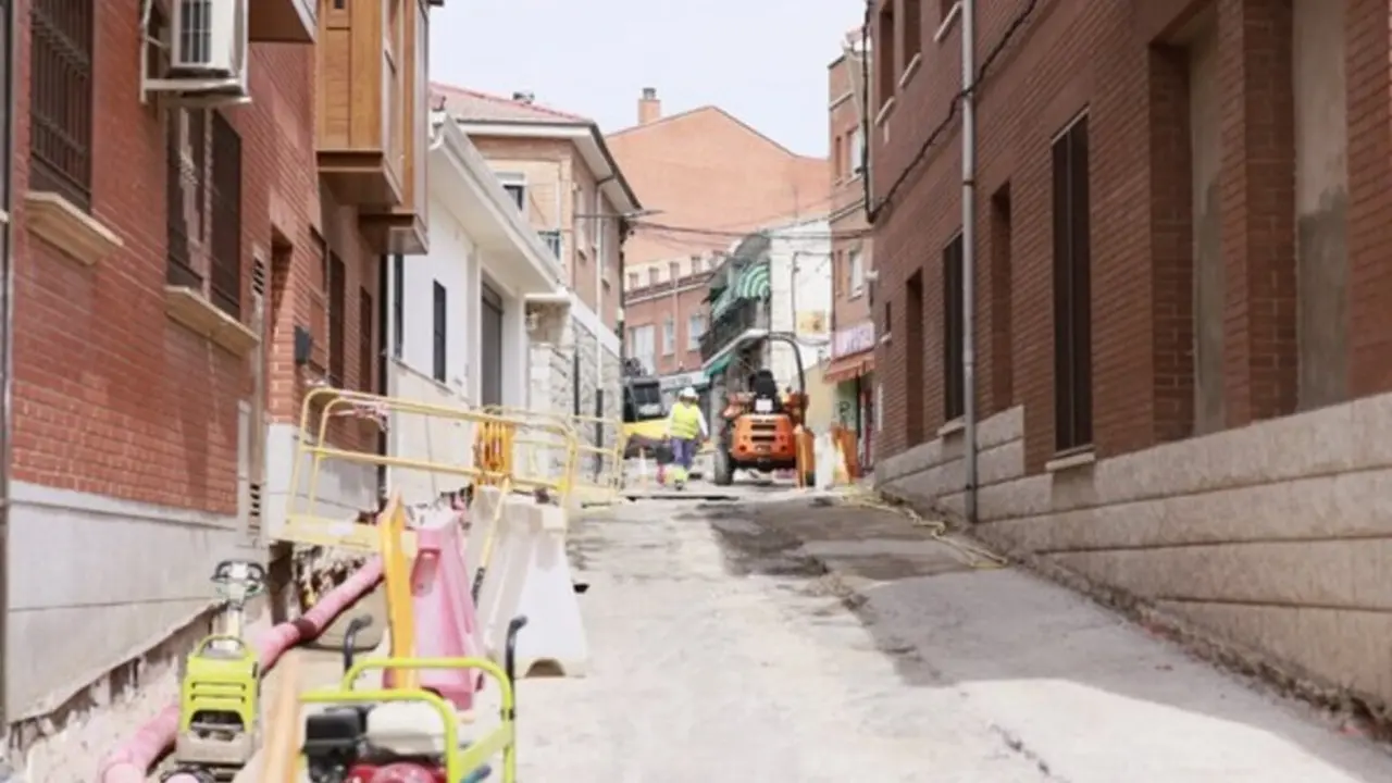 camelias y navalaosa obras (1) (1)