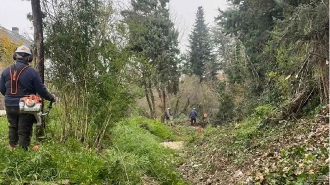 Un operario realiza desbroce de maleza en el curso de un arroyo de Tres  Cantos en invierno