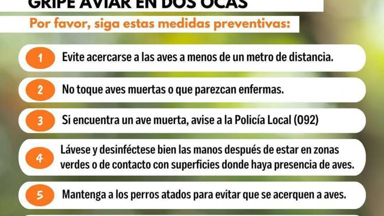El ayuntamiento de Alcobendas da una serie de pautas ante la detecci&oacute;n de gripe aviar en dos ocas en la localidad