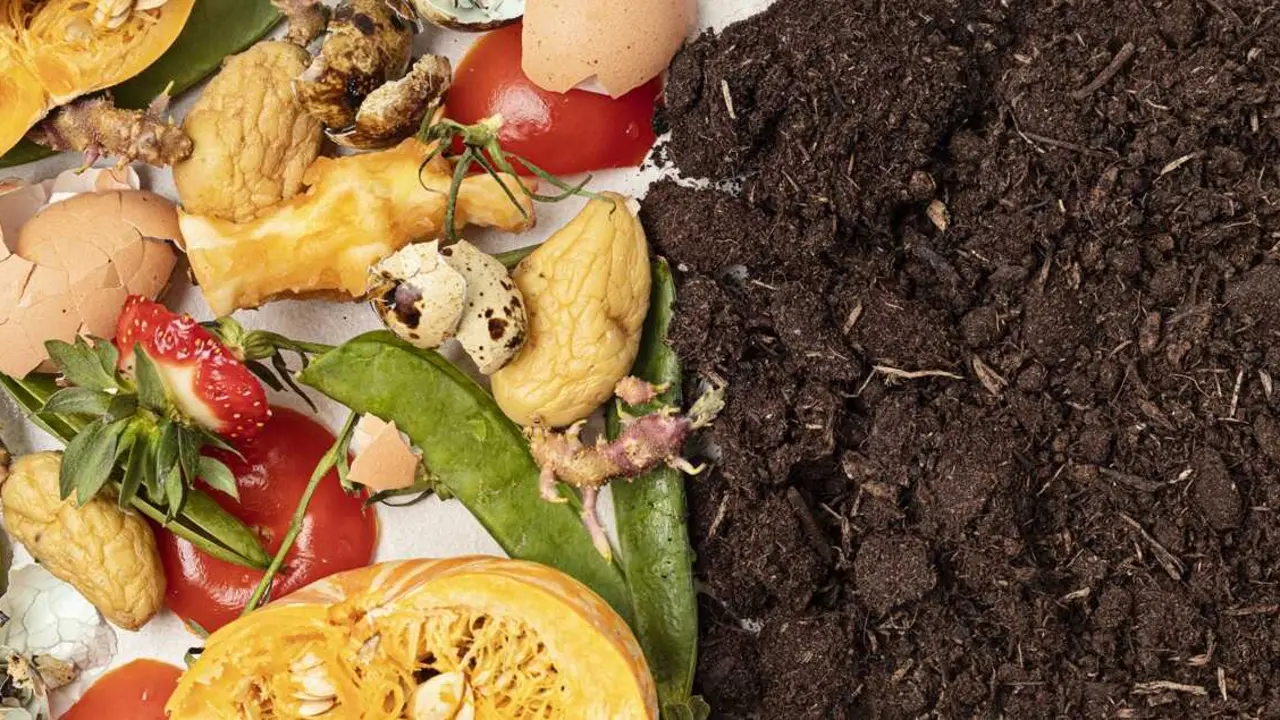 Los biorresiduos se pueden reconvertir en compost a trav&eacute;s del compostaje