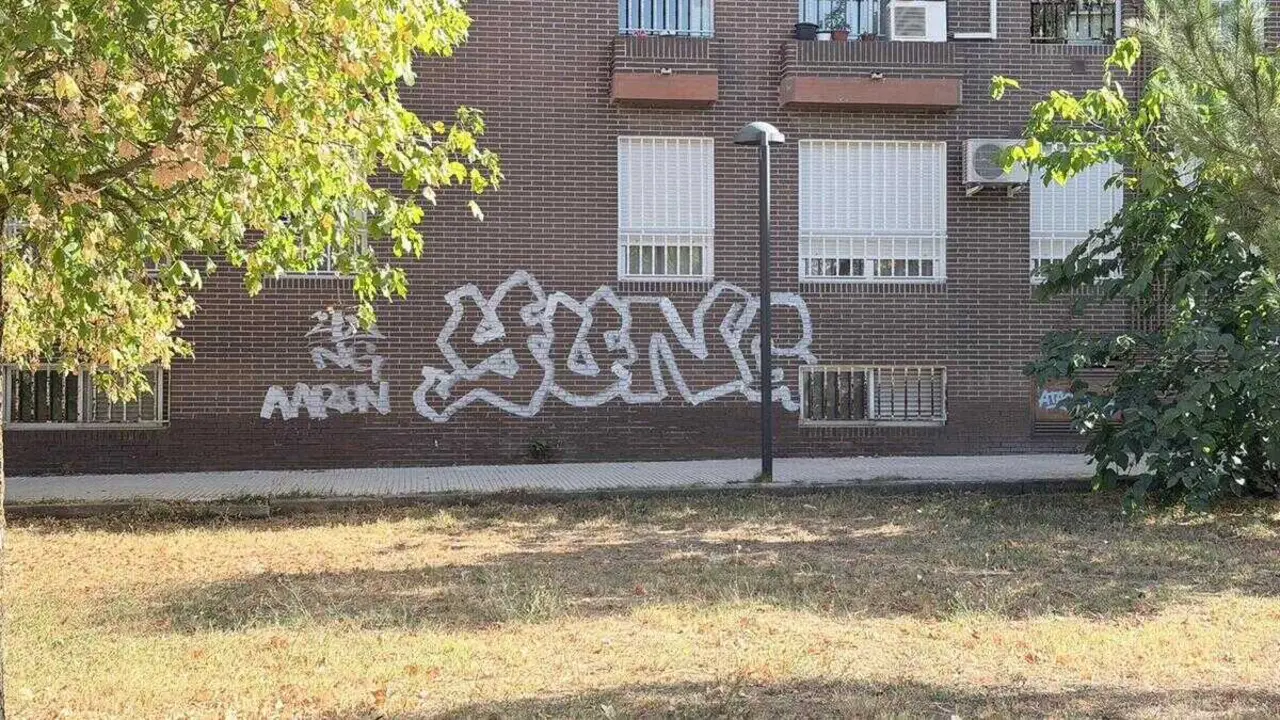 Grafiteros SSR (1)