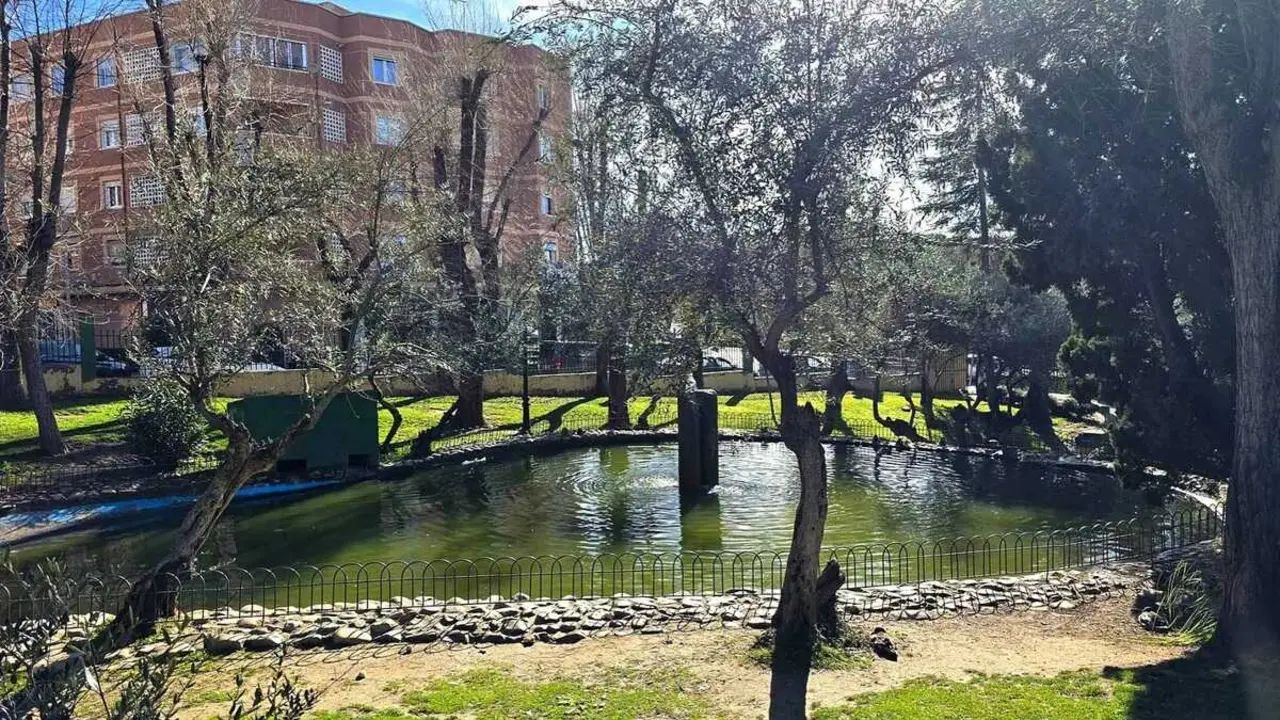 parque de los olivos algete (1)