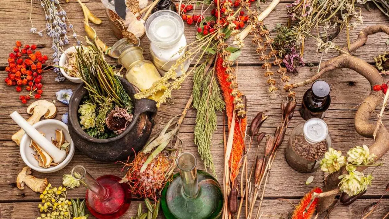 Hirubot&aacute;nica pretende conocer los saberes antiguos en torno a plantas y flores que permitieron hacer ung&uuml;entos e infusiones para mejorar la salud