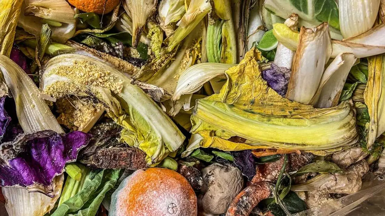 Los biorresiduos permiten obtener mediante tratamiento controlado productos como el biog&aacute;s, biometano o el CO2 biog&eacute;nico