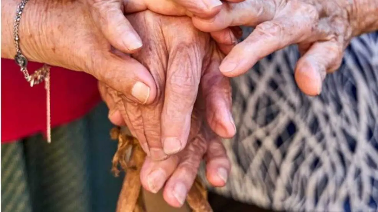 Una imagen del documental sobre las pastoras ni&ntilde;as en la sierra norte en la posguerra