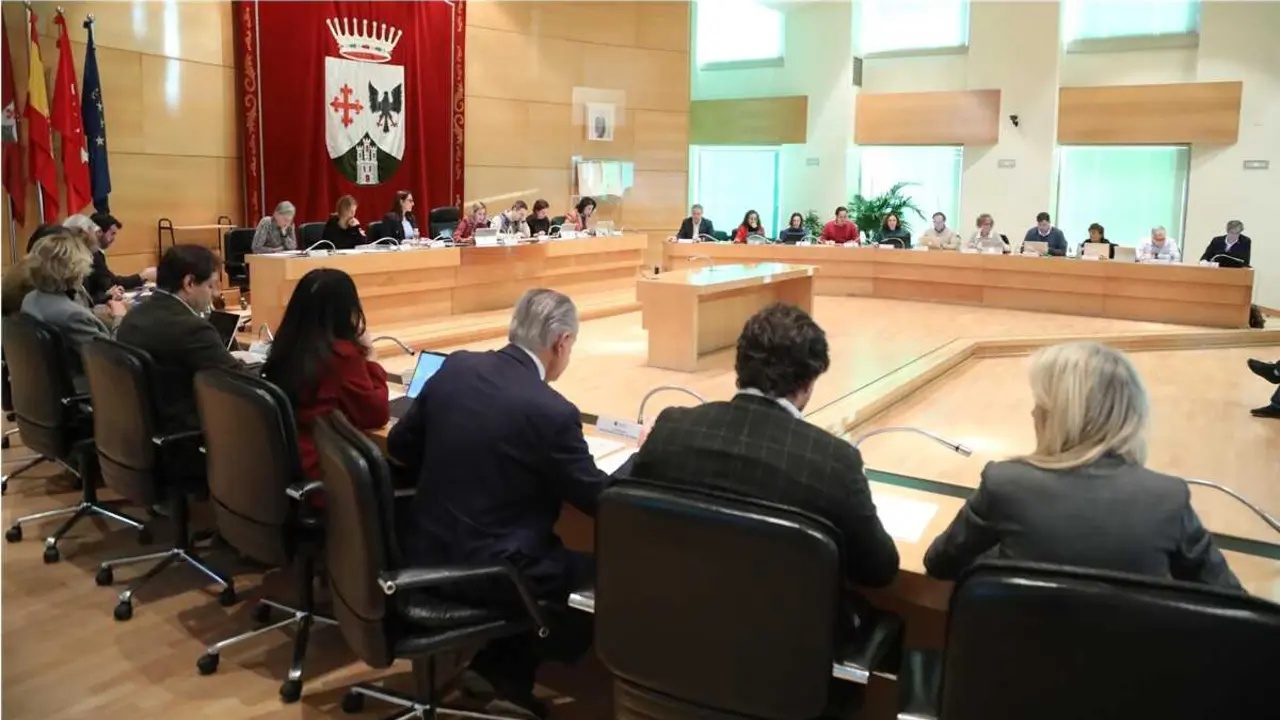 pleno-alcobendas-autonomos