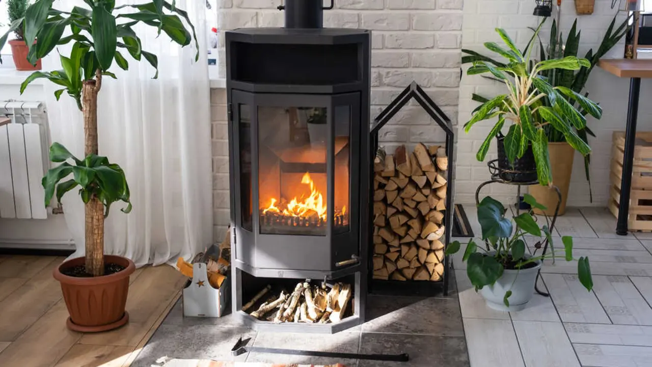Black Metal Steel fireplace stove with fire and firewood in green home with indoor plant in flower pot in village house. Cozy home hearth in interior with potted plants