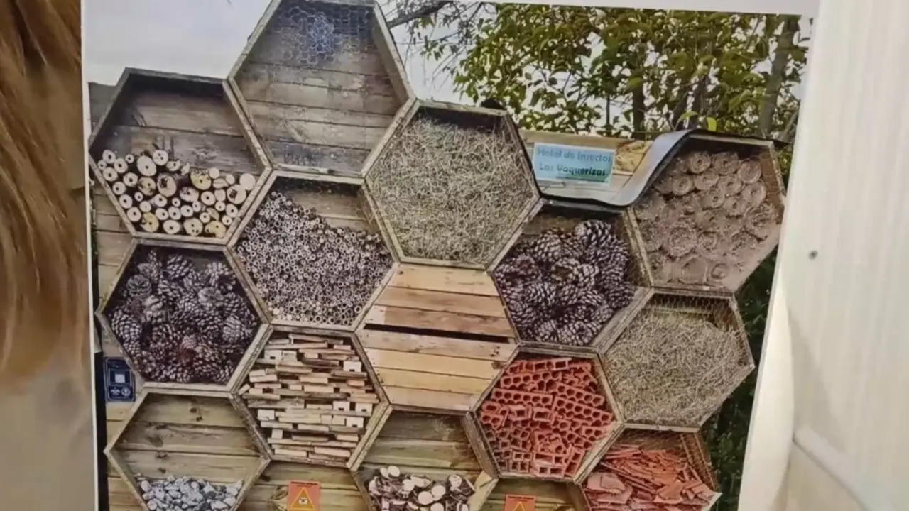 insectario