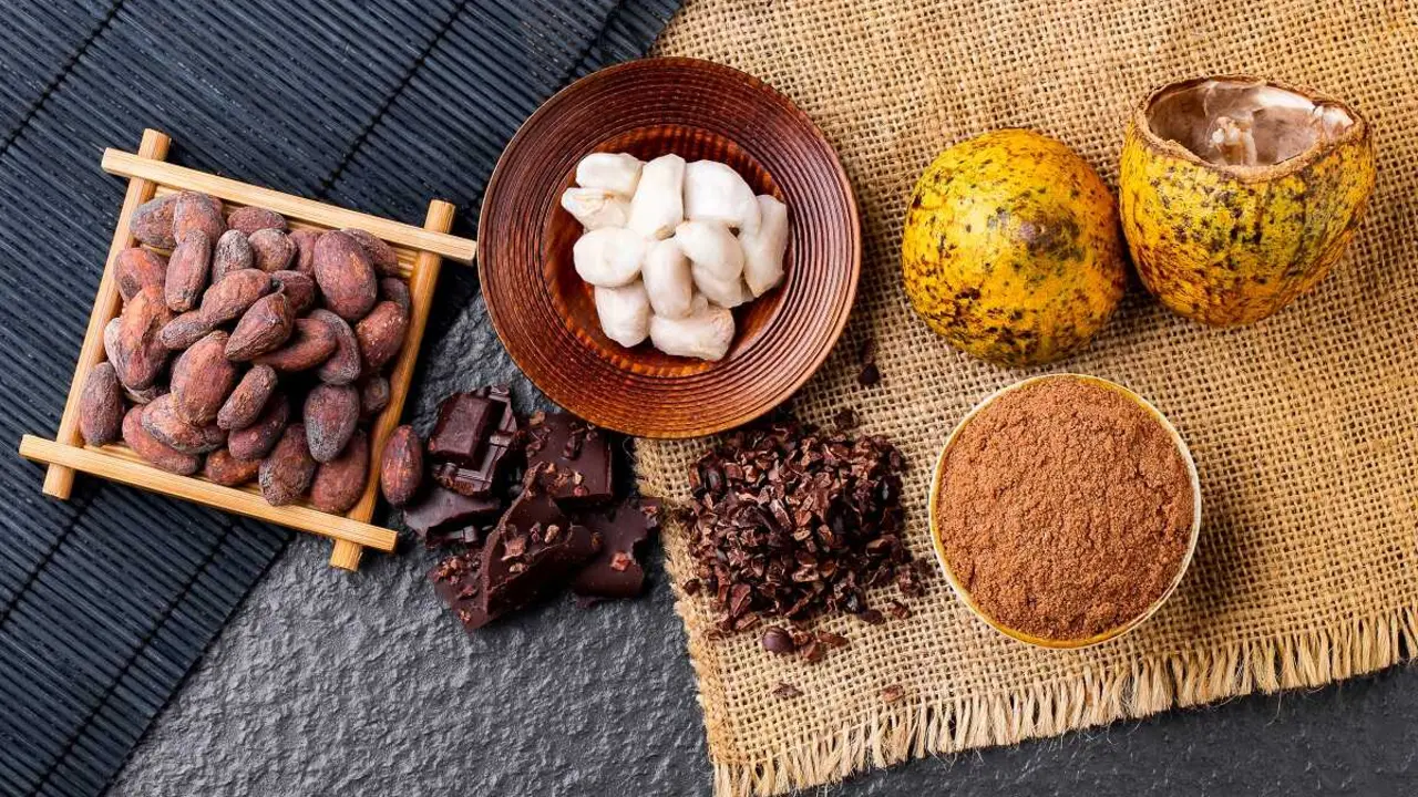 chocolate-cacao