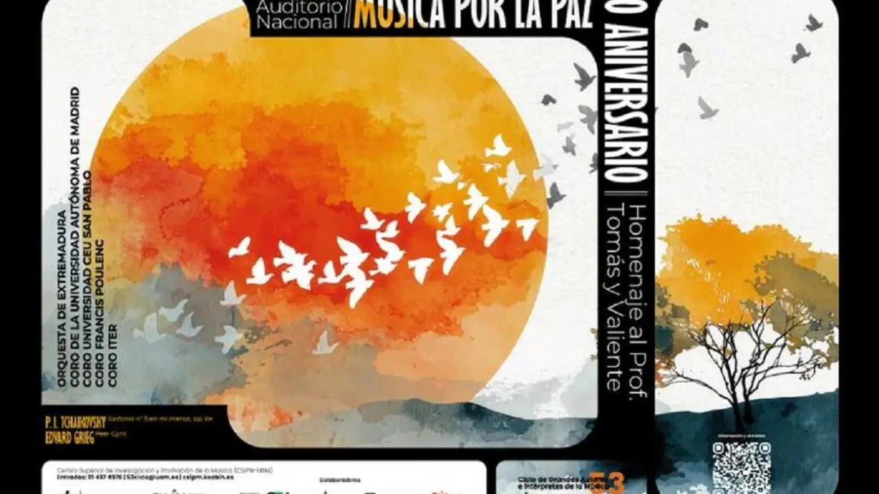 cartel-concierto-musica-por-paz