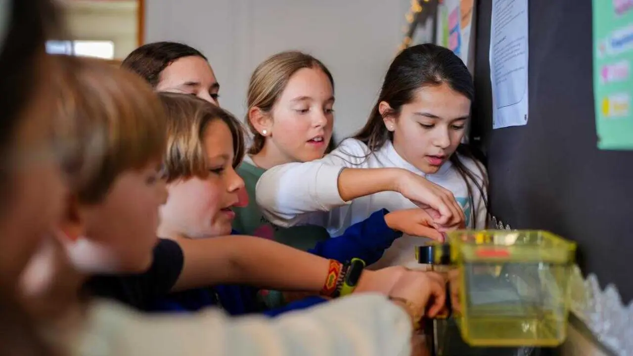 educacion alumnos
