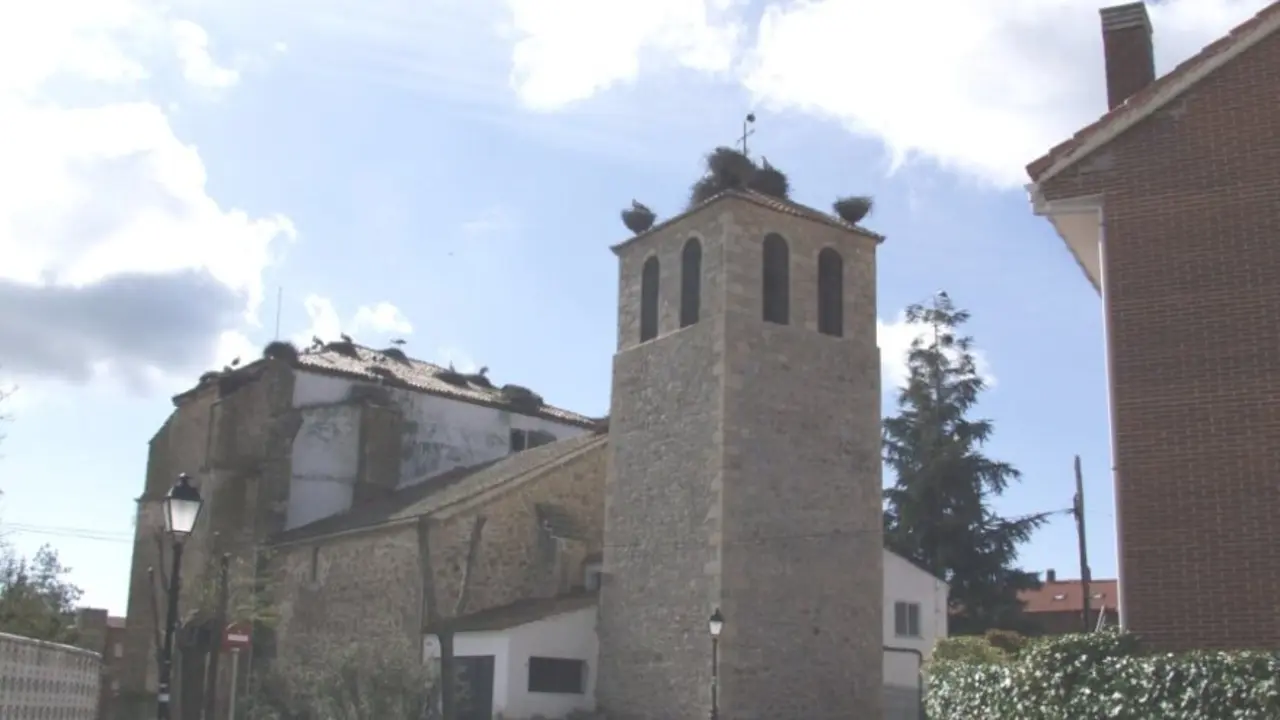 image (13)
