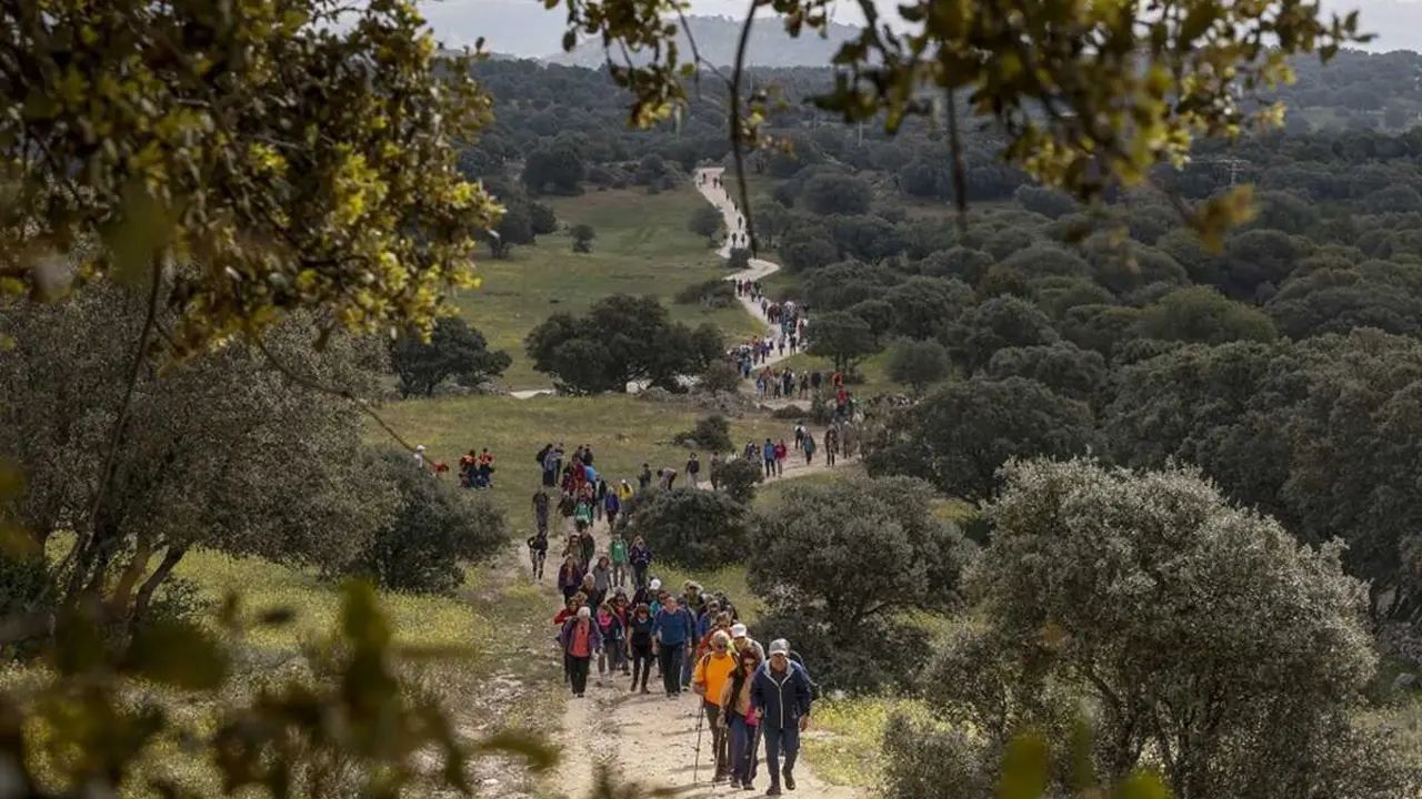 Una caminata en las jornadas de Medio Ambiente de Colmenar Viejo